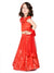 Saka Designs Red Full Embderoidered Lehenga Choli With Frills On The Neck